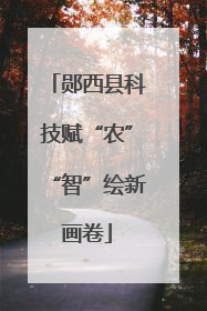郧西县科技赋“农”“智”绘新画卷