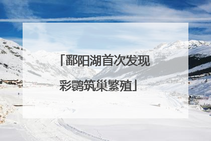 鄱阳湖首次发现彩鹮筑巢繁殖