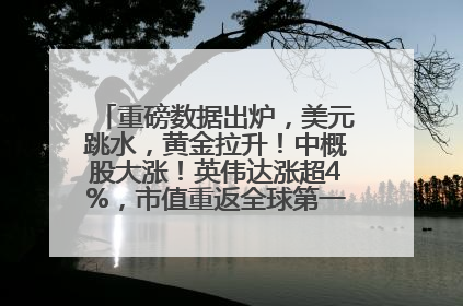 重磅数据出炉，美元跳水，黄金拉升！中概股大涨！英伟达涨超4%，市值重返全球第一！黄仁勋计划出售至多600万股股票