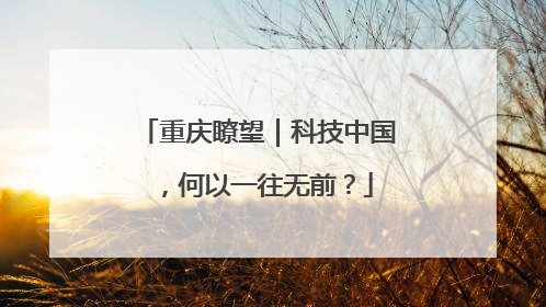 重庆瞭望｜科技中国，何以一往无前？