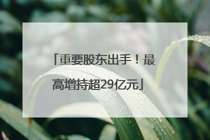 重要股东出手！最高增持超29亿元