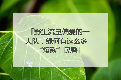 野生流量偏爱的一大队，缘何有这么多“爆款”民警