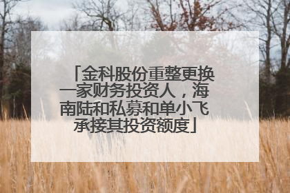 金科股份重整更换一家财务投资人，海南陆和私募和单小飞承接其投资额度