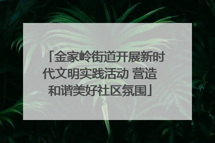 金家岭街道开展新时代文明实践活动 营造和谐美好社区氛围