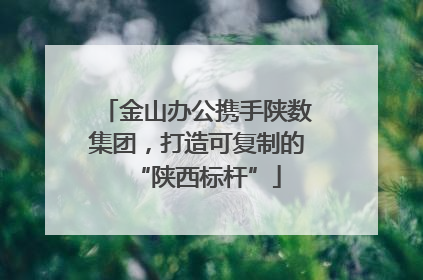金山办公携手陕数集团，打造可复制的“陕西标杆”