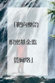 靶向整治织密基金监管网络