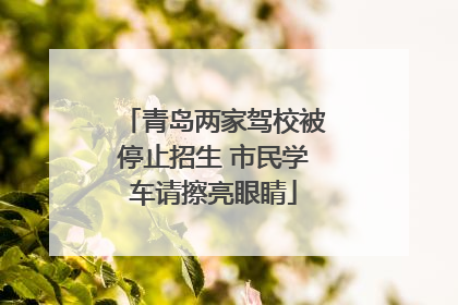 青岛两家驾校被停止招生 市民学车请擦亮眼睛
