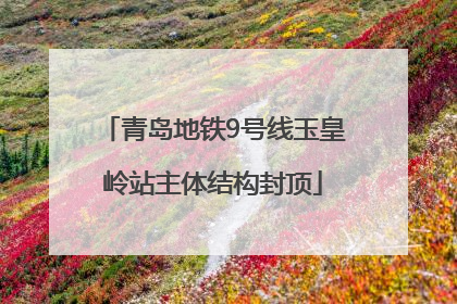 青岛地铁9号线玉皇岭站主体结构封顶