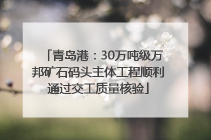 青岛港：30万吨级万邦矿石码头主体工程顺利通过交工质量核验