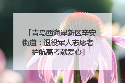 青岛西海岸新区辛安街道：退役军人志愿者护航高考献爱心
