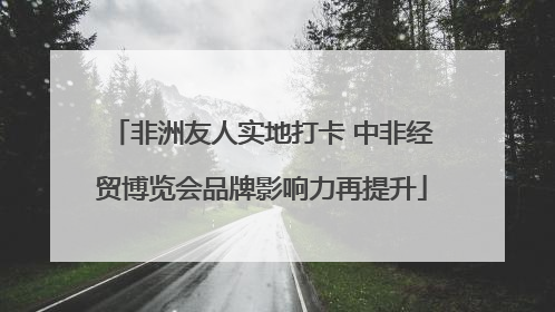 非洲友人实地打卡 中非经贸博览会品牌影响力再提升