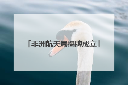 非洲航天局揭牌成立