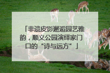 非遗皮影邂逅园艺雅韵，顺义公园演绎家门口的“诗与远方”