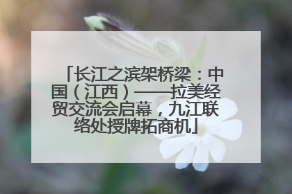 长江之滨架桥梁：中国（江西）——拉美经贸交流会启幕，九江联络处授牌拓商机