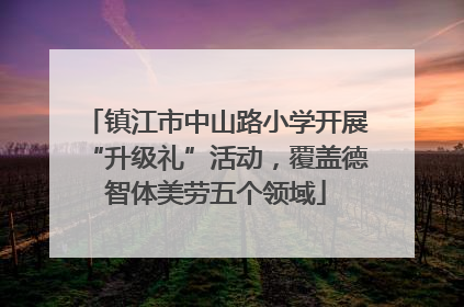 镇江市中山路小学开展“升级礼”活动，覆盖德智体美劳五个领域