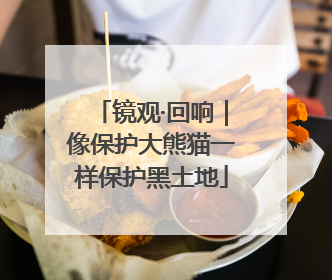 镜观·回响｜像保护大熊猫一样保护黑土地