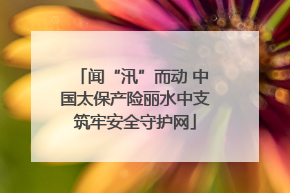 闻“汛”而动 中国太保产险丽水中支筑牢安全守护网