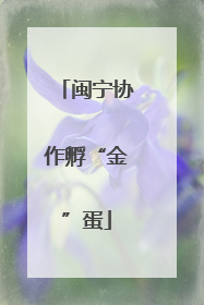 闽宁协作孵“金”蛋