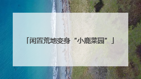 闲置荒地变身“小鹿菜园”