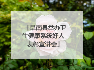 阜南县举办卫生健康系统好人表彰宣讲会