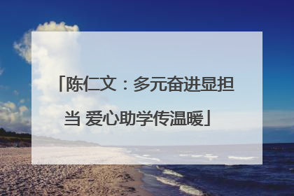 陈仁文：多元奋进显担当 爱心助学传温暖