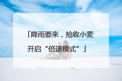 降雨要来，抢收小麦开启“倍速模式”