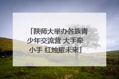 陕师大举办各族青少年交流营 大手牵小手 红烛耀未来