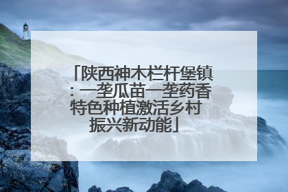 陕西神木栏杆堡镇：一垄瓜苗一垄药香 特色种植激活乡村振兴新动能
