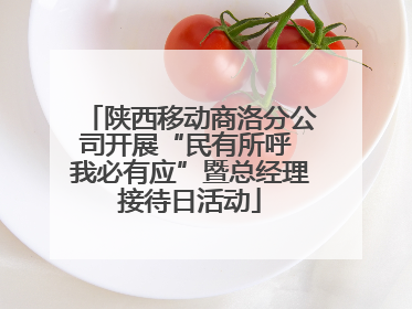 陕西移动商洛分公司开展“民有所呼 我必有应”暨总经理接待日活动