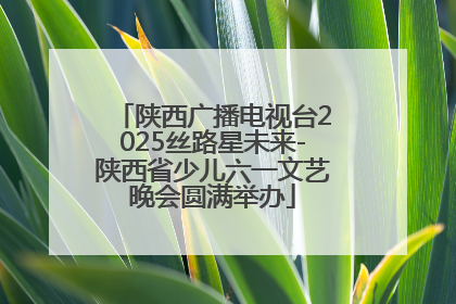 陕西广播电视台2025丝路星未来-陕西省少儿六一文艺晚会圆满举办