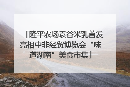 隆平农场袁谷米乳首发亮相中非经贸博览会“味道湖南”美食市集