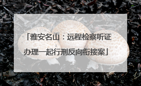 雅安名山：远程检察听证 办理一起行刑反向衔接案