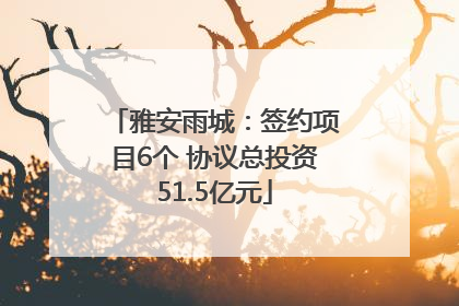 雅安雨城：签约项目6个 协议总投资51.5亿元