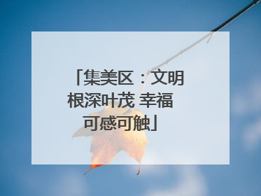 集美区：文明根深叶茂 幸福可感可触