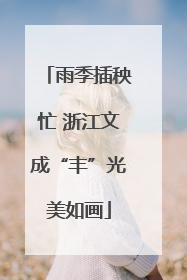 雨季插秧忙 浙江文成“丰”光美如画