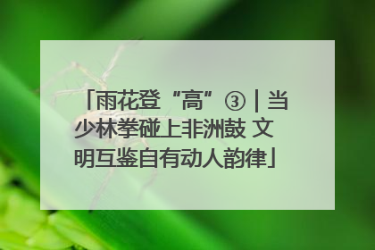 雨花登“高”③｜当少林拳碰上非洲鼓 文明互鉴自有动人韵律