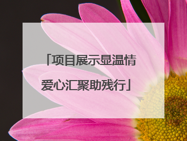 项目展示显温情 爱心汇聚助残行
