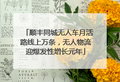 顺丰同城无人车月活路线上万条，无人物流迎爆发性增长元年