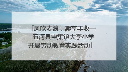 风吹麦浪，趣享丰收——五河县申集镇大李小学开展劳动教育实践活动