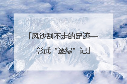 风沙刮不走的足迹——彰武“逐绿”记