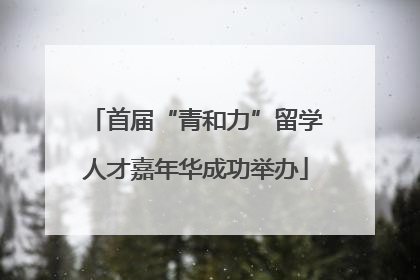 首届“青和力”留学人才嘉年华成功举办