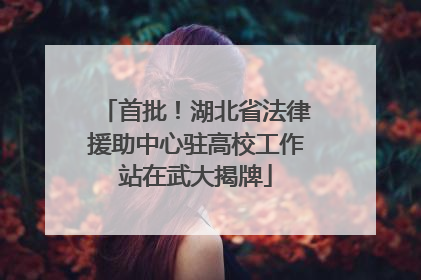 首批！湖北省法律援助中心驻高校工作站在武大揭牌