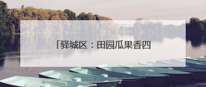 驿城区：田园瓜果香四溢 乡村产业谱新篇