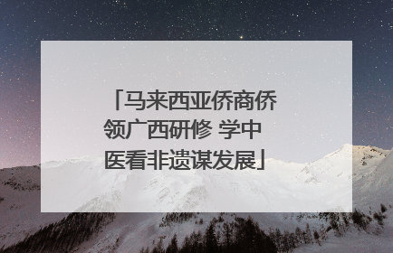 马来西亚侨商侨领广西研修 学中医看非遗谋发展