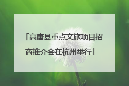 高唐县重点文旅项目招商推介会在杭州举行
