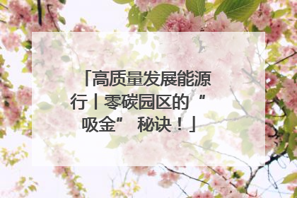 高质量发展能源行丨零碳园区的“吸金” 秘诀！