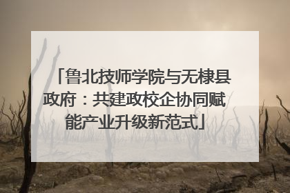 鲁北技师学院与无棣县政府：共建政校企协同赋能产业升级新范式