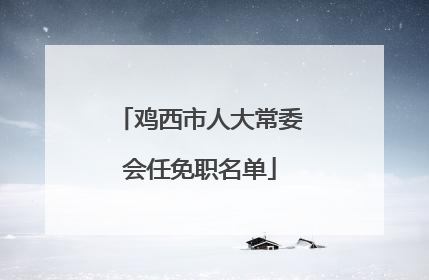 鸡西市人大常委会任免职名单
