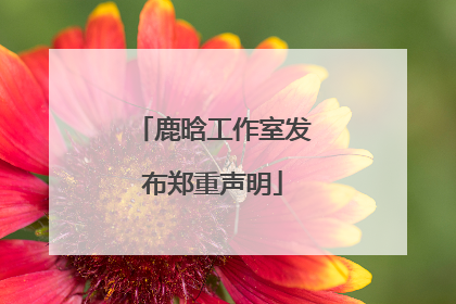 鹿晗工作室发布郑重声明
