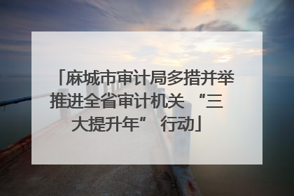麻城市审计局多措并举推进全省审计机关 “三大提升年” 行动